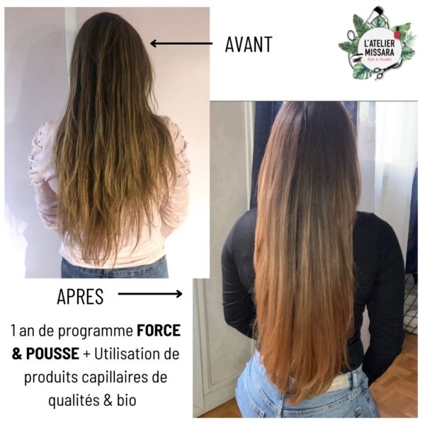 Ceci correspond au Programme Force et Pousse